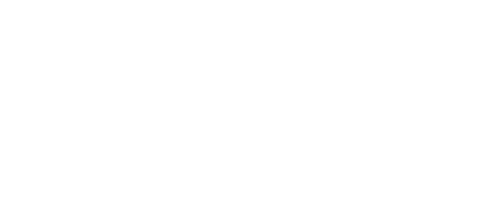 roiipy